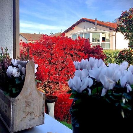 Olympia By The Lake Lausanne Exterior foto