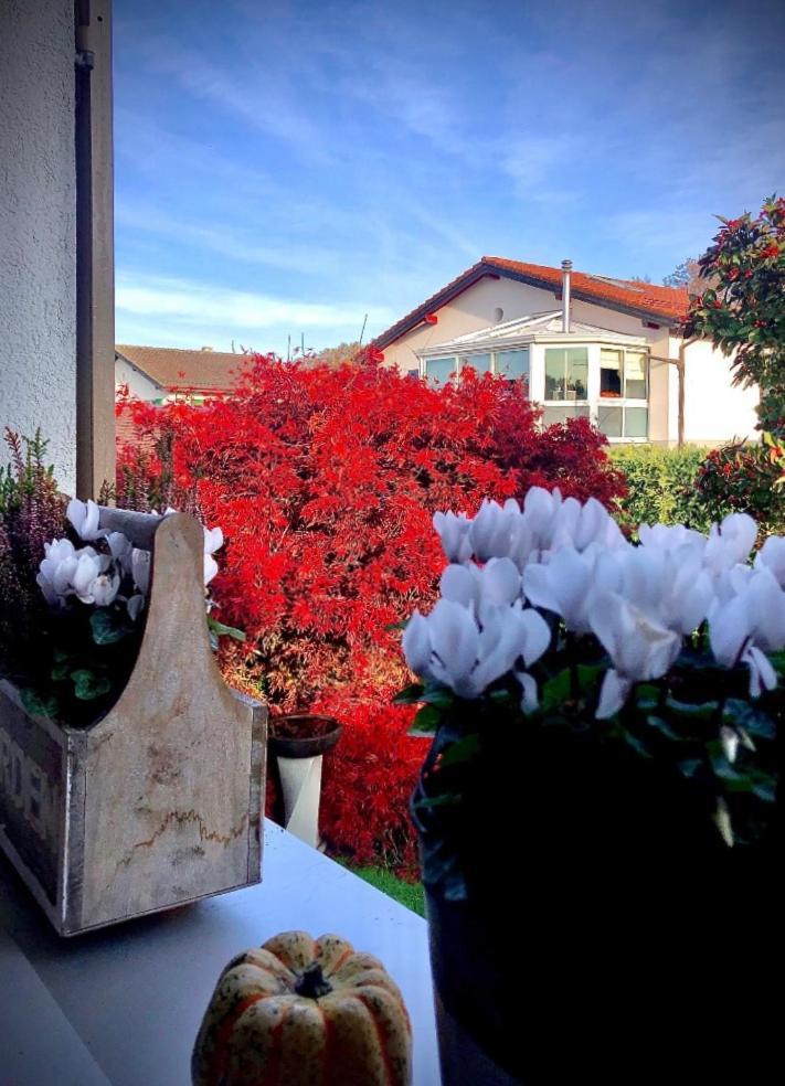 Olympia By The Lake Lausanne Exterior foto